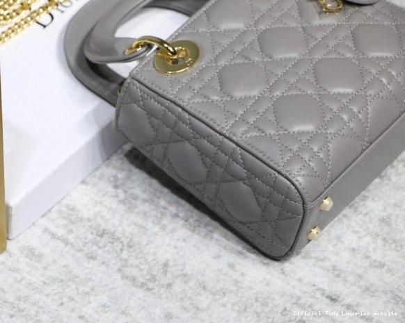 Tony Luxuries Lambskin With Lady diro Mini 0810